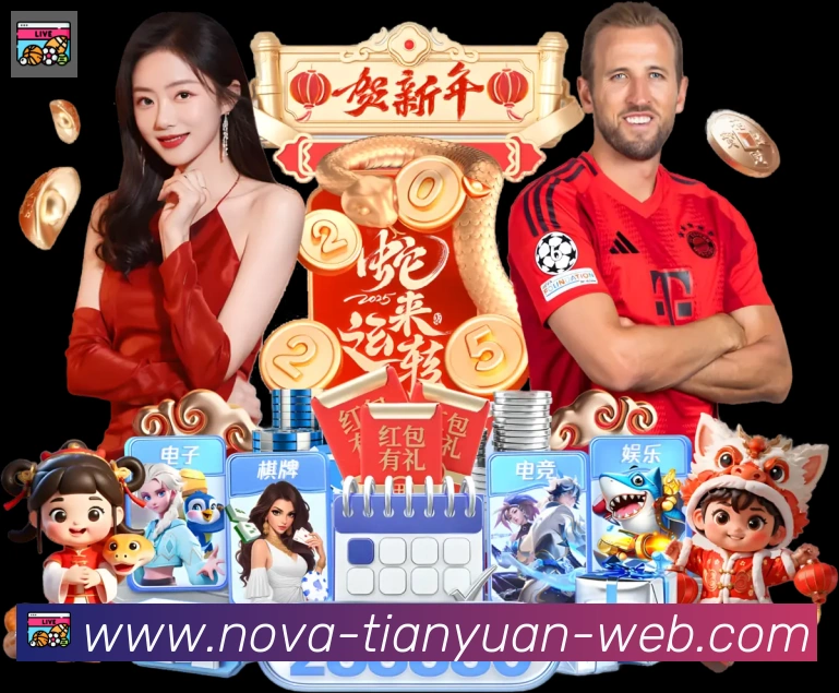 天元棋牌APP 封面图